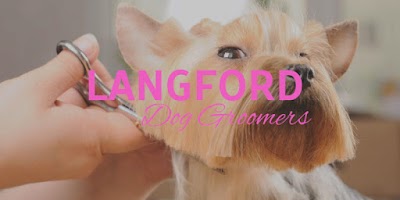 Photo associated with Langford Dog Groomers