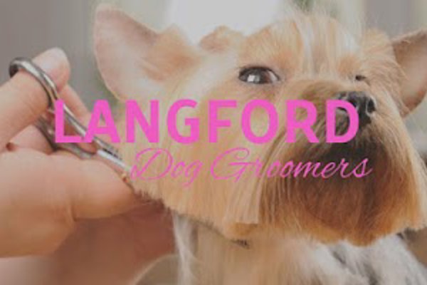 Photo associated with Langford Dog Groomers
