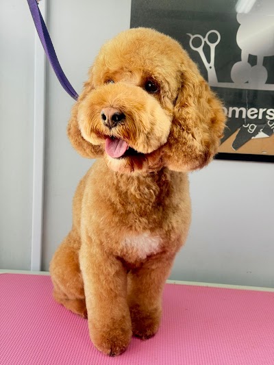 Photo associated with Groomers Avenue Wollaton