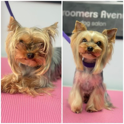 Photo associated with Groomers Avenue Wollaton