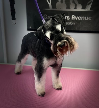 Photo associated with Groomers Avenue Wollaton