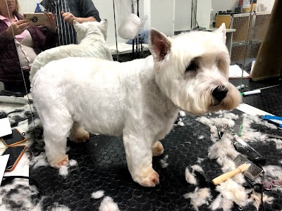 Photo associated with The Clip Joint Dog and Cat Grooming Centre
