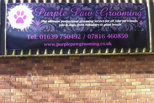 Photo associated with Purple Paw Grooming