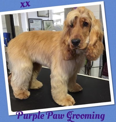 Photo associated with Purple Paw Grooming