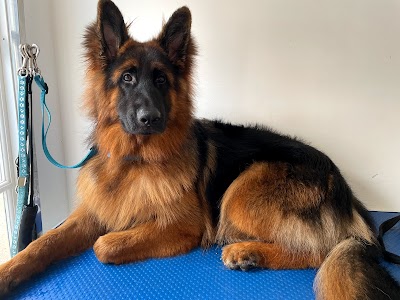 Photo associated with Ripley's Dog Groomers