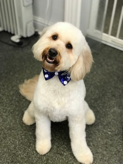 Photo associated with Poochie Parlour