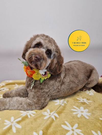 Photo associated with Tailored Trims-Professional Dog Grooming