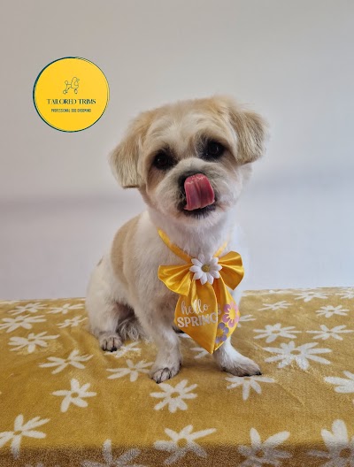 Photo associated with Tailored Trims-Professional Dog Grooming