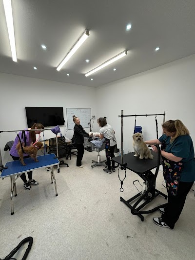 Photo associated with Mrs B's Dog Grooming and Dog Grooming Academy