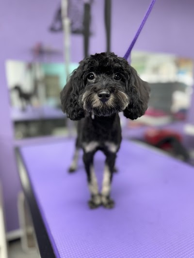 Photo associated with Hardwick’s Canine Grooming