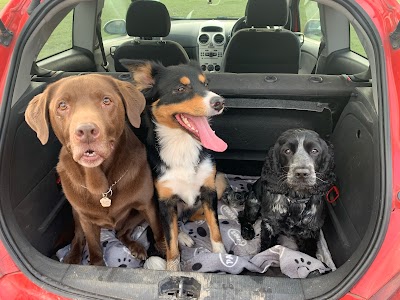 Photo associated with Emily’s Dog Grooming and Pet Services