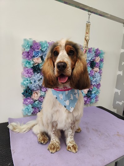 Photo associated with Daniella’s Dog Grooming
