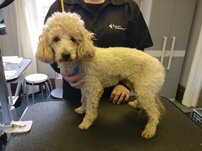 Photo associated with Cutie Dogs