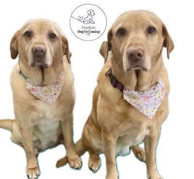 Photo associated with Flawless Dog and Pet Grooming Services