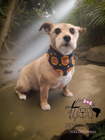 Photo associated with Pickles Paws Dog Grooming