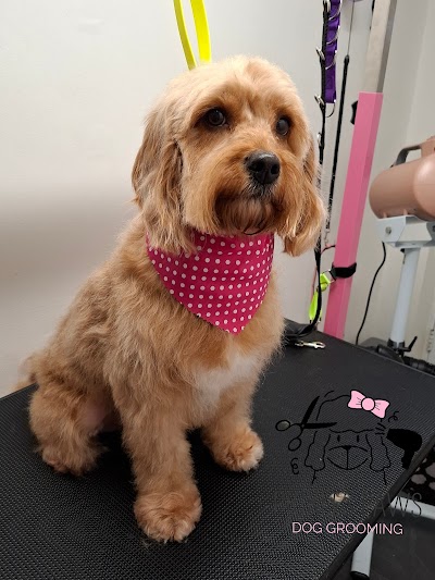 Photo associated with Pickles Paws Dog Grooming