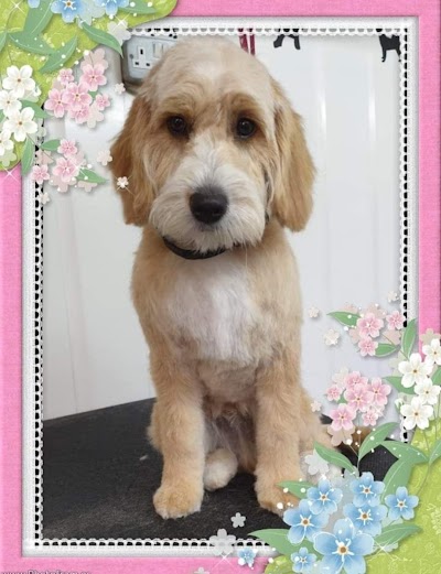 Photo associated with Mutt Cutz