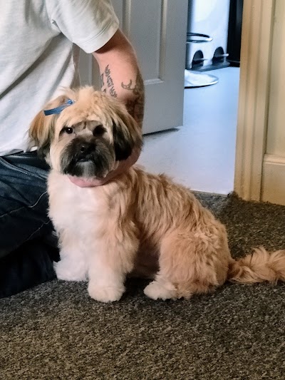 Photo associated with Groomers Inc