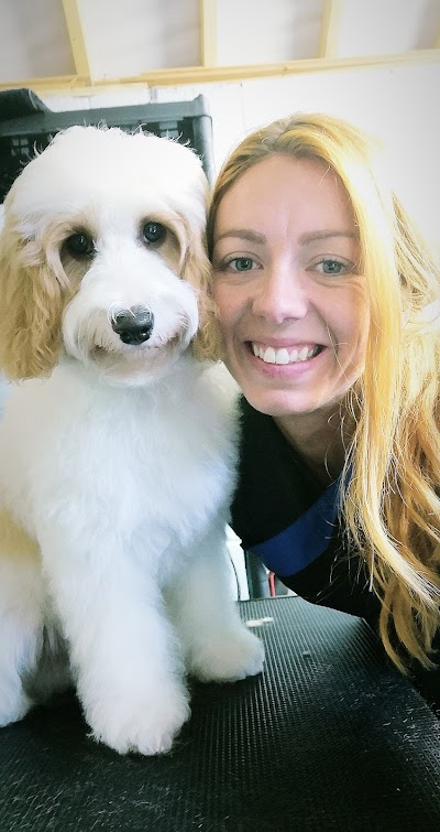 Photo associated with Fresh Paws Wilsden canine dog grooming and teeth cleaning
