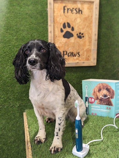 Photo associated with Fresh Paws Wilsden canine dog grooming and teeth cleaning