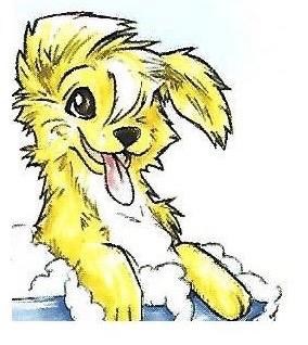 Photo associated with Cams Mobile Dog Grooming