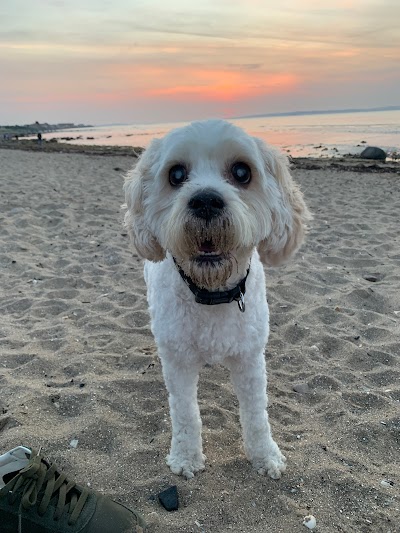 Photo associated with Posh paws of davenport Dog Groomers