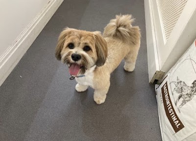 Photo associated with Posh paws of davenport Dog Groomers