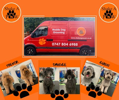 Photo associated with Shake A Paw Mobile Dog Grooming