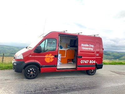 Photo associated with Shake A Paw Mobile Dog Grooming