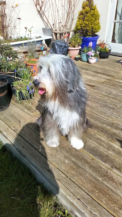 Photo associated with Wagtails Dog Grooming
