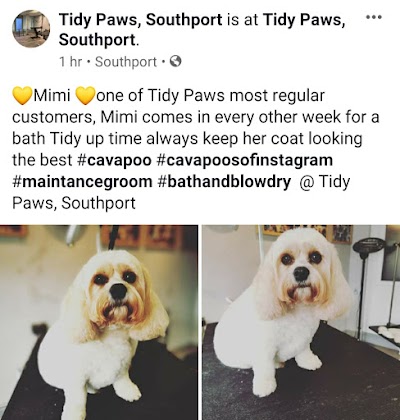 Photo associated with Tidy Paws Southport