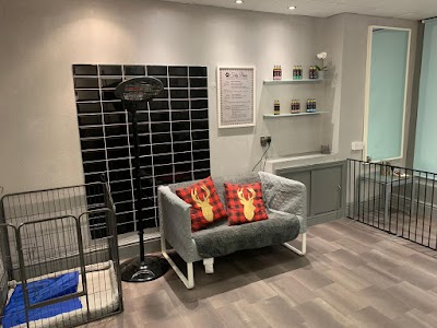 Photo associated with Tidy Paws Southport