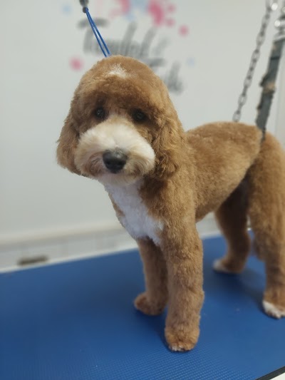 Photo associated with Tangled Tails Dog Groomer