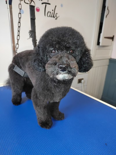 Photo associated with Tangled Tails Dog Groomer