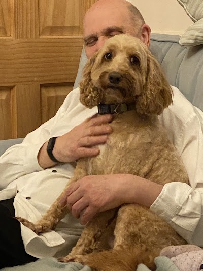 Photo associated with Spoilt Rotten Dog Groomer & Boutique Pinner