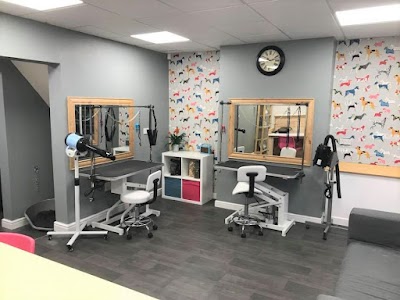 Photo associated with Paws Dog Grooming
