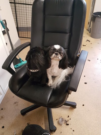 Photo associated with Paws Groomers