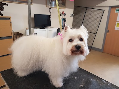 Photo associated with Paws Groomers