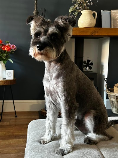 Photo associated with The Groomers Salon & Training School