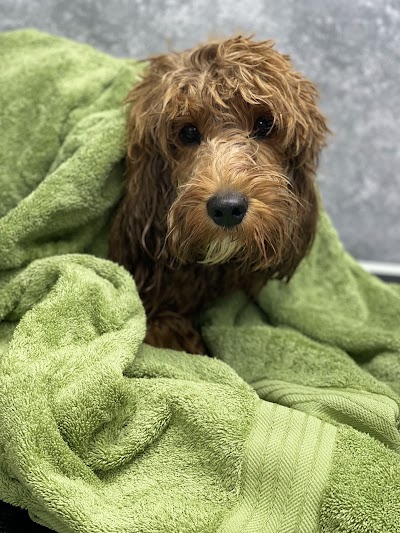 Photo associated with The Groomers Salon & Training School