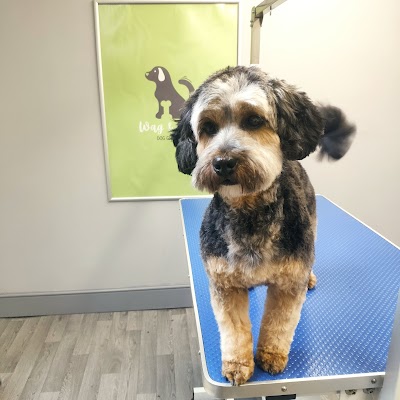 Photo associated with Wag & Bone Dog Grooming