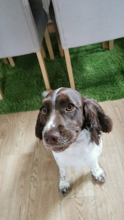 Photo associated with Queens Drive Pet Groomers