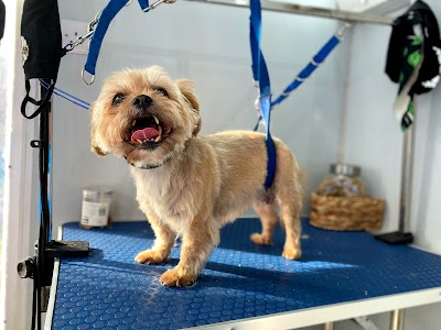 Photo associated with Bath Barks and Beyond - Dog Grooming