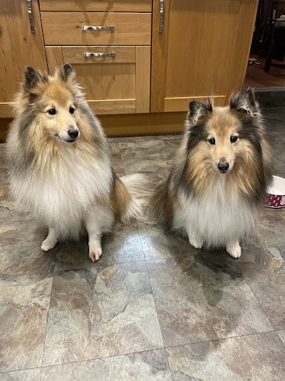 Photo associated with The Wash House Dog Grooming