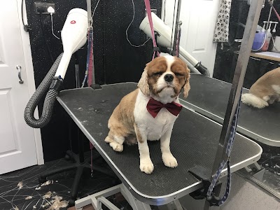 Photo associated with Mucky Pups Dog Grooming Studio