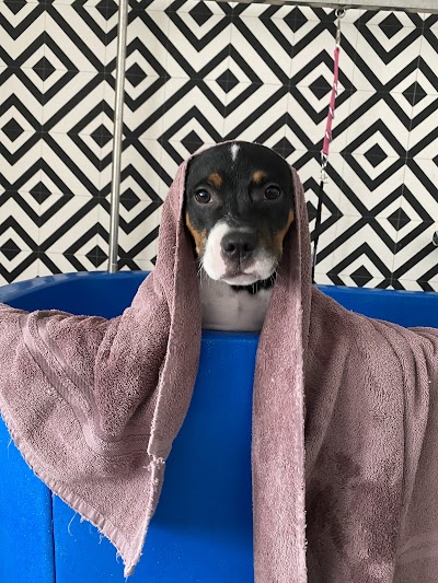 Photo associated with West Bridgford Pet Parlour