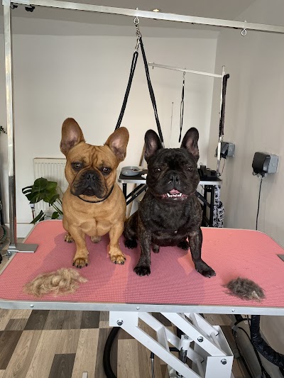 Photo associated with West Bridgford Pet Parlour