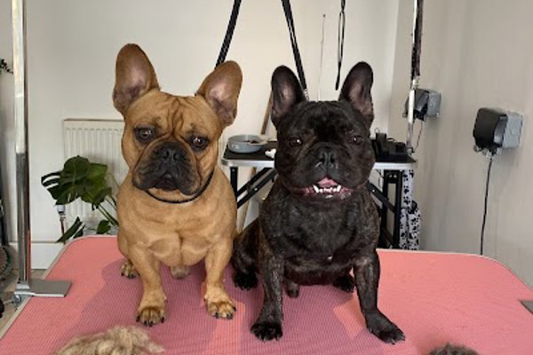 Photo associated with West Bridgford Pet Parlour