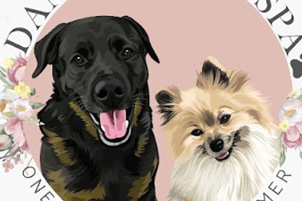 Photo associated with Danielle's K9 Spa One To One Dog Grooming