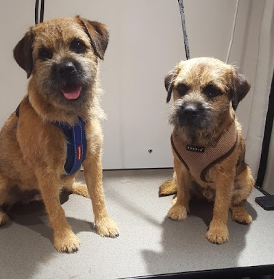 Photo associated with Emma's Dog Grooming